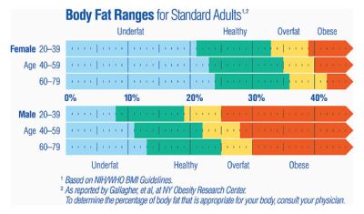 what-does-your-body-fat-percentage mean.jpg